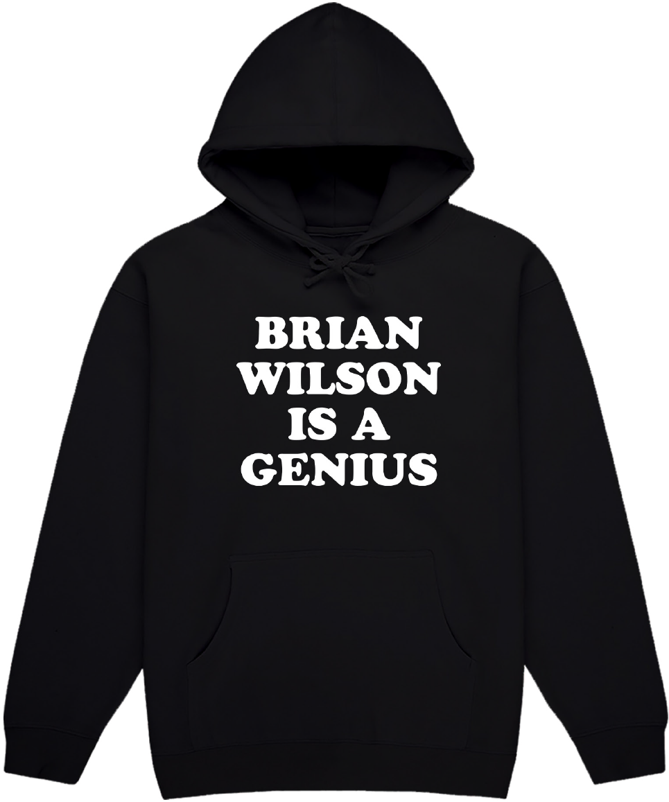 Is A Genius Black Hoodie